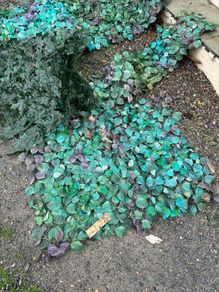 IKEA garden screening panels FREE
