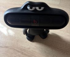 Beats Pill and case