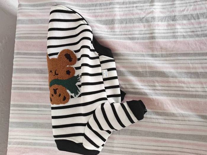 dog jacket