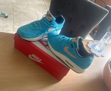Nike Air Max 1