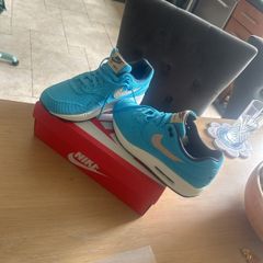 Nike Air Max 1