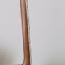 Recording Nite Hawk Tenor Banjo Image 8