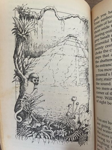 The Temple of Flame (Golden Dragon Fantasy Gamebooks - Dave Morris & Oliver Johnson)