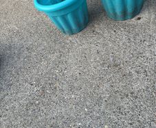 Plastic plant pot x 2