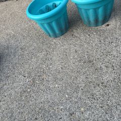 Plastic plant pot x 2