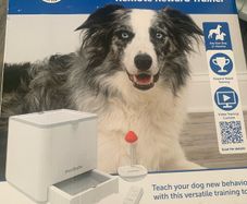 dog training