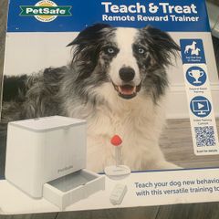 dog training
