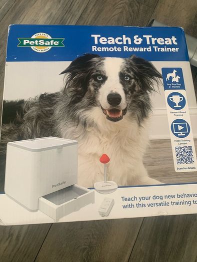 dog training