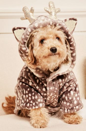Dog Fleece
