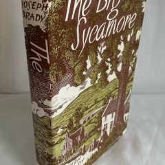 Joseph Brady - The Big Sycamore