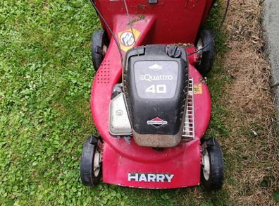 Harry lawnmower with grassbox