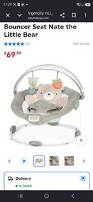 Baby Bouncer