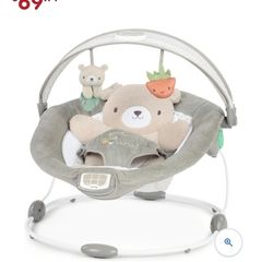 Baby Bouncer
