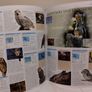 Animal: The Definitive Visual Guide encyclopedia reference books Image 5