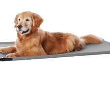 2x Large Raised Dog Beds (Amazon Basics) 1 New, 1 Like New