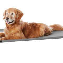 2x Large Raised Dog Beds (Amazon Basics) 1 New, 1 Like New