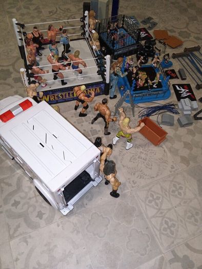 wrestlers