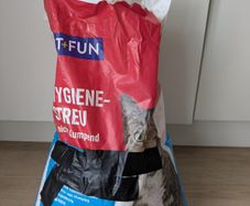 Cat / Kitty Litter