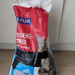 Cat / Kitty Litter