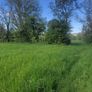 Silage Image 5