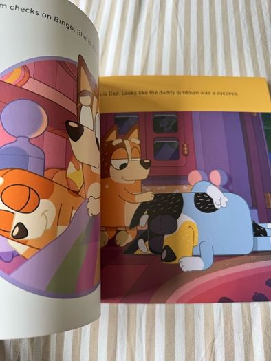 Bluey kids book bundle