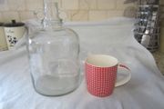 vintage 2 handled glass jug / bottle