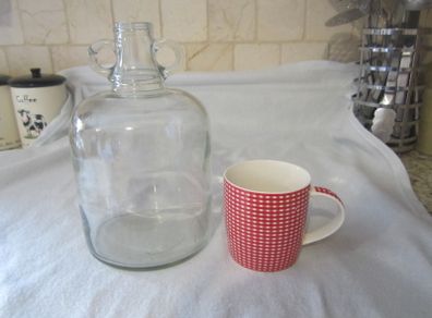 vintage 2 handled glass jug / bottle