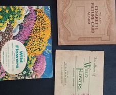 wild flowers cigarette cards