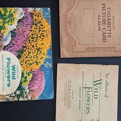 wild flowers cigarette cards