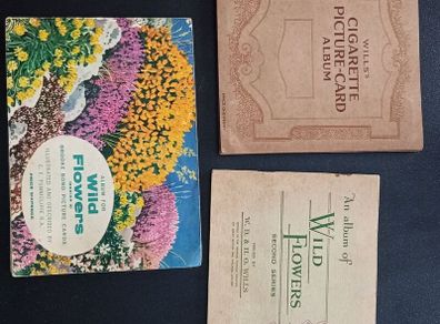 wild flowers cigarette cards