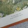 2 X Vintage Muriel Dawson Nursery Prints Image 8