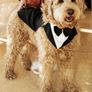Wedding Image 4