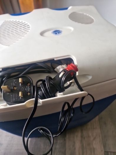 Portable electric cooler box