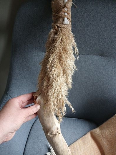 Halloween/fancy dress costume
