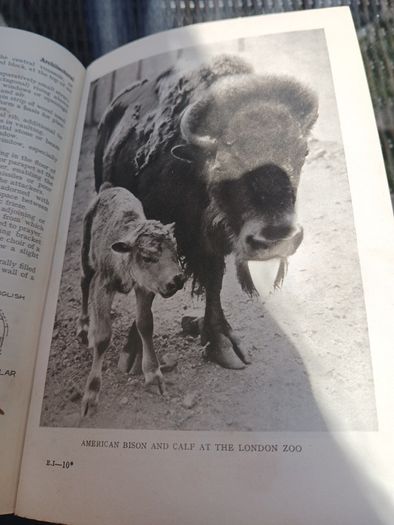 The Daily Express Encyclopedia 1st Ed. 1934