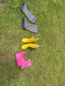 wellies