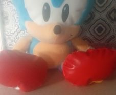 Sonic teddy