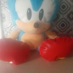 Sonic teddy