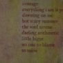 Villagers - Darling Arithmetic CD Image 2