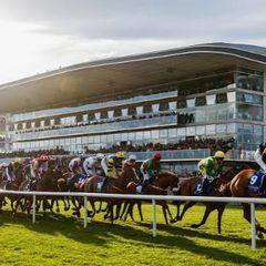 Galway Races Saturday Admission Ticket X2