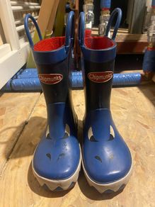 wellie boots chipmunks