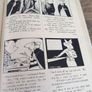 Curly Wee and Gussie Goose hardback, Independent News Dubljn Image 6