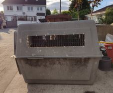 sky Kennel