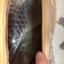 Rebounder board Image 2