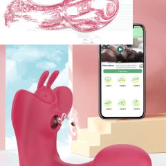 9 Speed Strong Pink Rabbit Vibrator G-spot Stimulator APP
