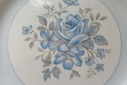 Antique Meakin plate