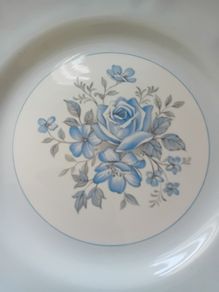Antique Meakin plate
