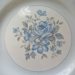 Antique Meakin plate