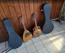 Mandolins