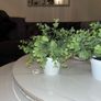 Small Artificial Plants Image 4
